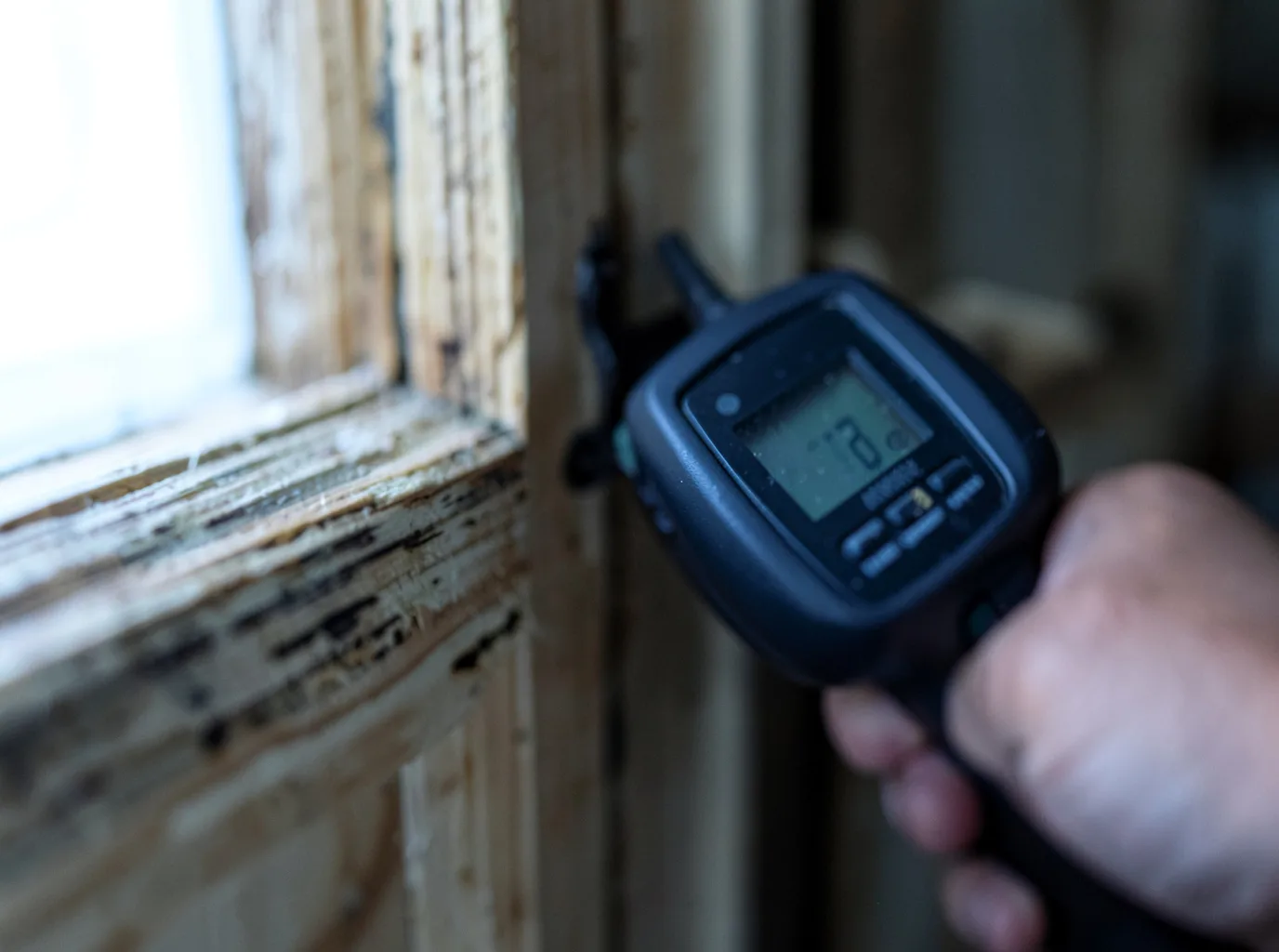 Moisture Inspection And Documentation in Dorchester Center, MA